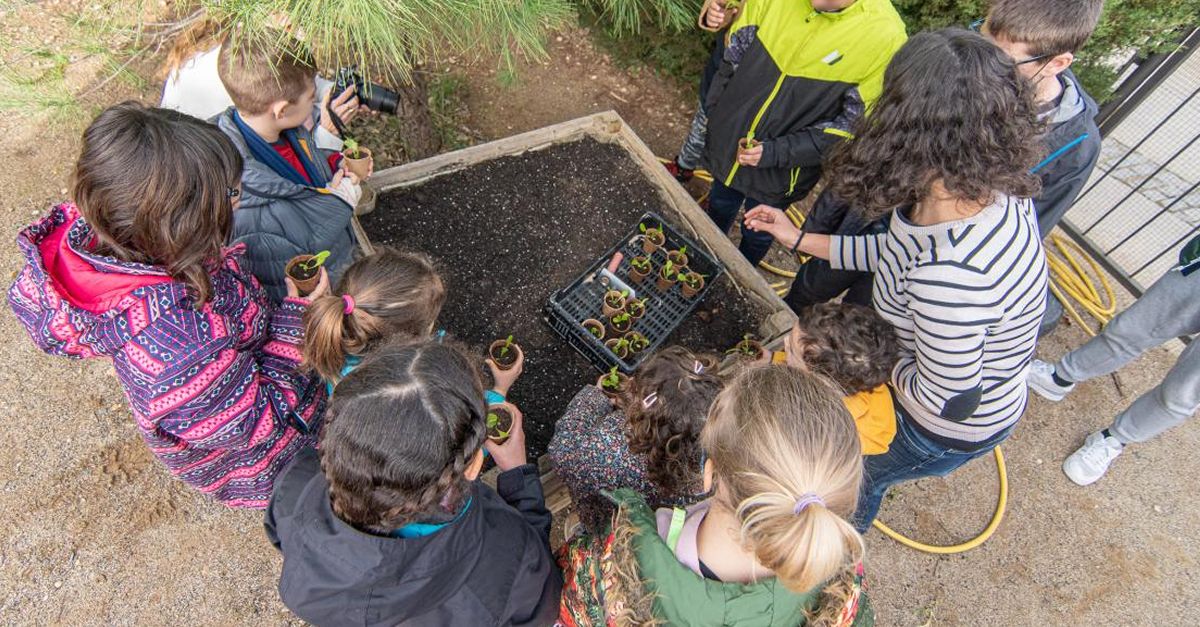 Sembrant Priorat, el projecte que busca identificar les varietats tradicionals d’horta i fruiters de la comarca | EbreActiu.cat, revista digital d’oci actiu | Terres de l’Ebre ...