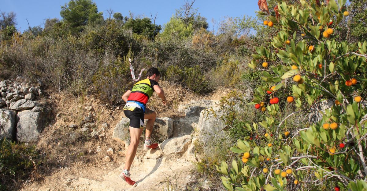 La XVIII edici de la Pujada al Montsi Memorial Francesc Bort (Madro) ho te tot a punt per a gaudir del mar de muntanya amb xifres rcord