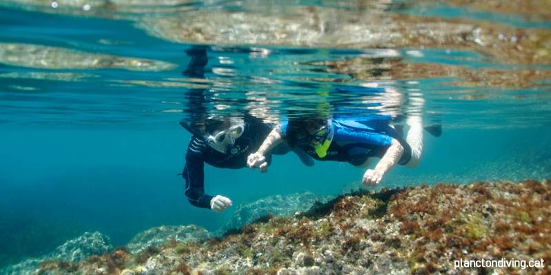 L’Ametlla de Mar intentarà batre el Record Guinness de més gent fent snorkel alhora per primer cop a la història | EbreActiu.cat, revista digital d’oci actiu | Terres de l’Ebre ... L’Ametlla de Mar intentarà batre el Record Guinness de més gent fent snorkel alhora per primer cop a la història | EbreActiu.cat, revista digital d’oci actiu | Terres de l’Ebre ...