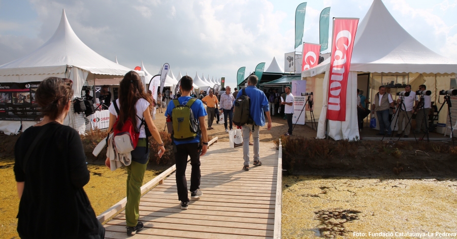 La 4a edici del Delta Birding Festival rep un 15% ms de visitants