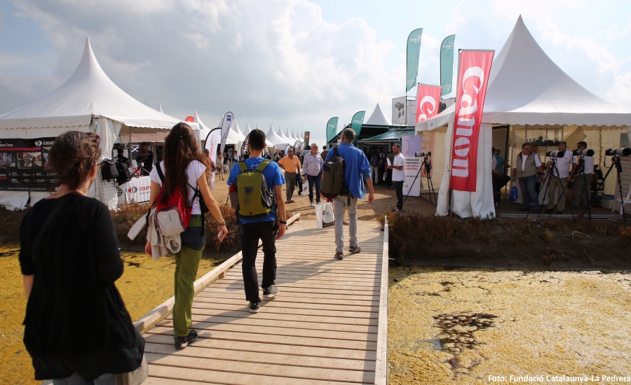 La 4a edici� del Delta Birding Festival rep un 15% m�s de visitants | EbreActiu.cat, revista digital d&rsquo;oci actiu | Terres de l&rsquo;Ebre ...