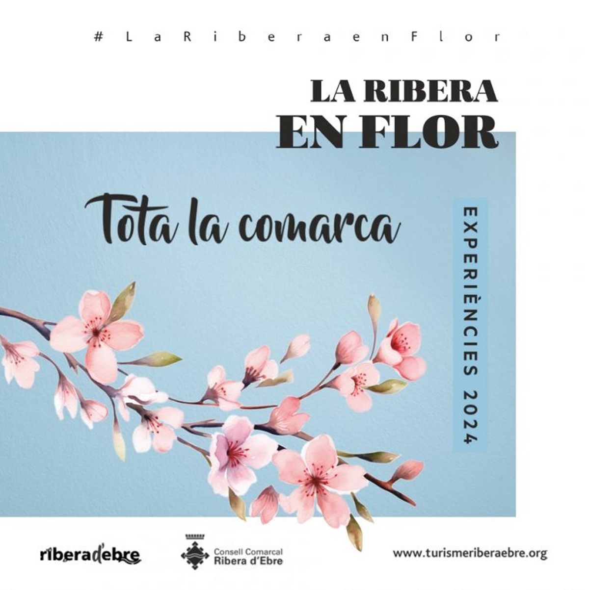 La «Ribera en flor» ofereix 18 experiències per gaudir de la floració dels arbres fruiters | EbreActiu.cat, revista digital d’oci actiu | Terres de l’Ebre ... La «Ribera en flor» ofereix 18 experiències per gaudir de la floració dels arbres fruiters | EbreActiu.cat, revista digital d’oci actiu | Terres de l’Ebre ...