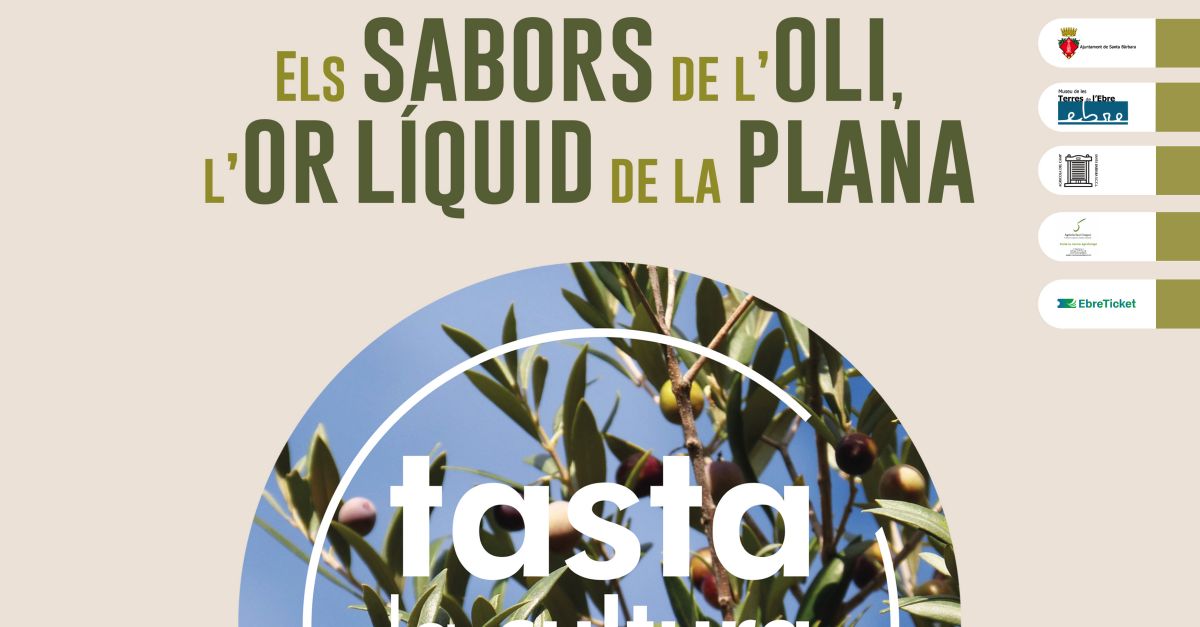 Tasta la cultura de l�Ebre. Los sabores del aceite de oliva, el oro l�quido de la Plana