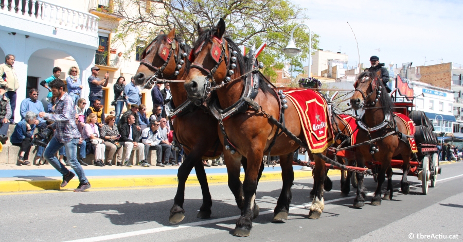 M�s de 50 entitats participen en la Trobada Nacional dels Tres Tombs a l�Ampolla