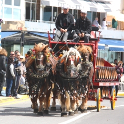 M�s de 50 entitats participen en la Trobada Nacional dels Tres Tombs a l&rsquo;Ampolla