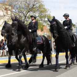 M�s de 50 entitats participen en la Trobada Nacional dels Tres Tombs a l&rsquo;Ampolla