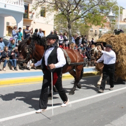 M�s de 50 entitats participen en la Trobada Nacional dels Tres Tombs a l&rsquo;Ampolla
