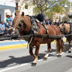 M�s de 50 entitats participen en la Trobada Nacional dels Tres Tombs a l&rsquo;Ampolla