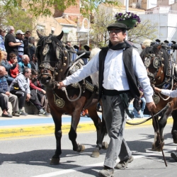 M�s de 50 entitats participen en la Trobada Nacional dels Tres Tombs a l&rsquo;Ampolla