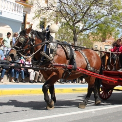 M�s de 50 entitats participen en la Trobada Nacional dels Tres Tombs a l&rsquo;Ampolla