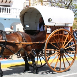 M�s de 50 entitats participen en la Trobada Nacional dels Tres Tombs a l&rsquo;Ampolla