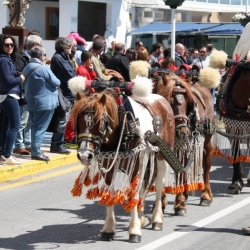Ms de 50 entitats participen en la Trobada Nacional dels Tres Tombs a l’Ampolla