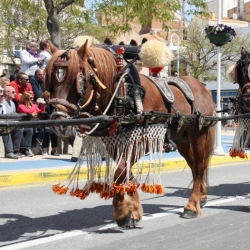M�s de 50 entitats participen en la Trobada Nacional dels Tres Tombs a l&rsquo;Ampolla