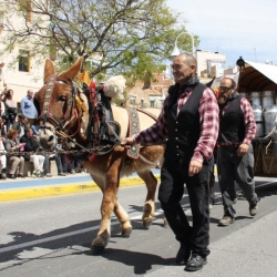 M�s de 50 entitats participen en la Trobada Nacional dels Tres Tombs a l&rsquo;Ampolla