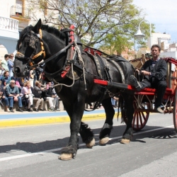 M�s de 50 entitats participen en la Trobada Nacional dels Tres Tombs a l&rsquo;Ampolla