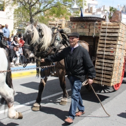 M�s de 50 entitats participen en la Trobada Nacional dels Tres Tombs a l&rsquo;Ampolla