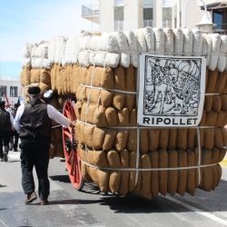 M�s de 50 entitats participen en la Trobada Nacional dels Tres Tombs a l&rsquo;Ampolla