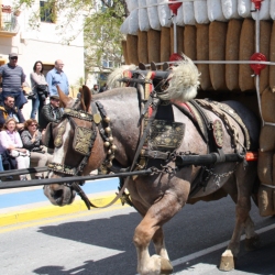 M�s de 50 entitats participen en la Trobada Nacional dels Tres Tombs a l&rsquo;Ampolla