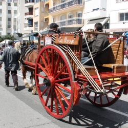 M�s de 50 entitats participen en la Trobada Nacional dels Tres Tombs a l&rsquo;Ampolla