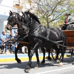 M�s de 50 entitats participen en la Trobada Nacional dels Tres Tombs a l&rsquo;Ampolla