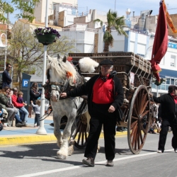 Ms de 50 entitats participen en la Trobada Nacional dels Tres Tombs a l’Ampolla