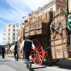 M�s de 50 entitats participen en la Trobada Nacional dels Tres Tombs a l&rsquo;Ampolla