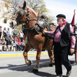 M�s de 50 entitats participen en la Trobada Nacional dels Tres Tombs a l&rsquo;Ampolla
