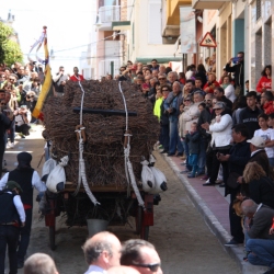 M�s de 50 entitats participen en la Trobada Nacional dels Tres Tombs a l&rsquo;Ampolla