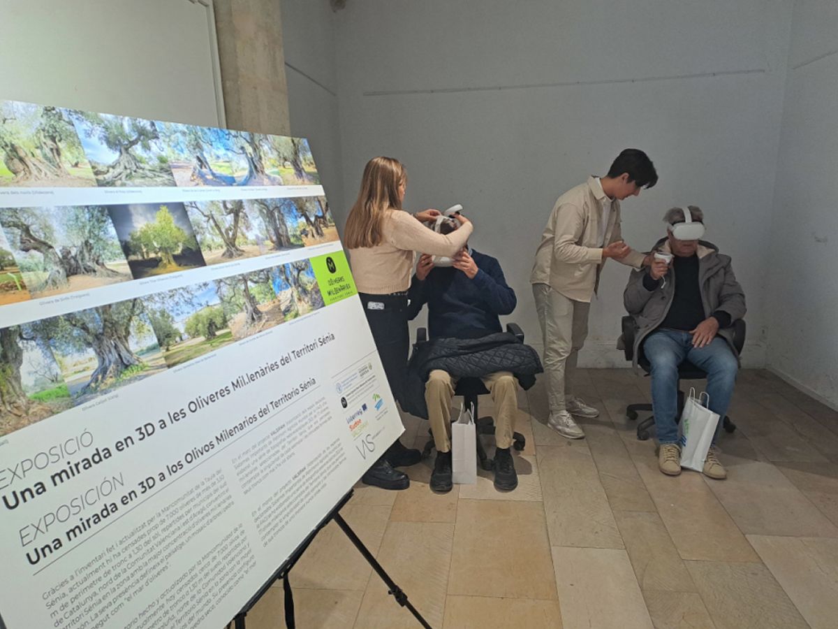 L&rsquo;11� Congr�s Oliveres Mil�len�ries Territori S�nia aplega prop de 100 participants | EbreActiu.cat, revista digital d&rsquo;oci actiu | Terres de l&rsquo;Ebre ...