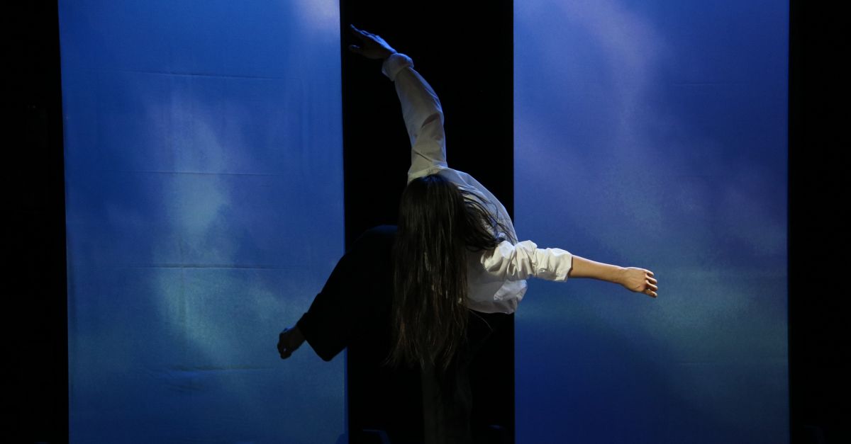 El Festival Deltebre Dansa tanca edici amb gaireb 10.000 espectadors