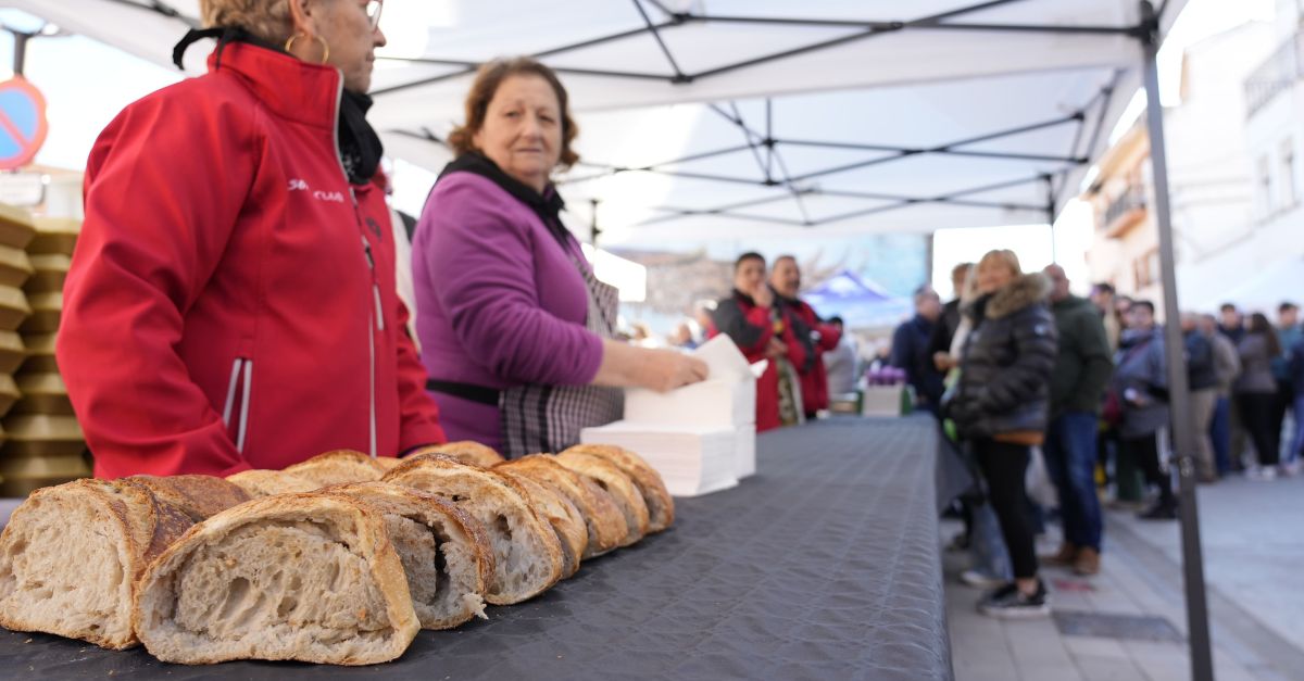 La XVIII Festa Comarcal de la Clotxa reivindica el sector agroalimentari i el futur sostenible de la Ribera d&rsquo;Ebre | EbreActiu.cat, revista digital d&rsquo;oci actiu | Terres de l&rsquo;Ebre ...