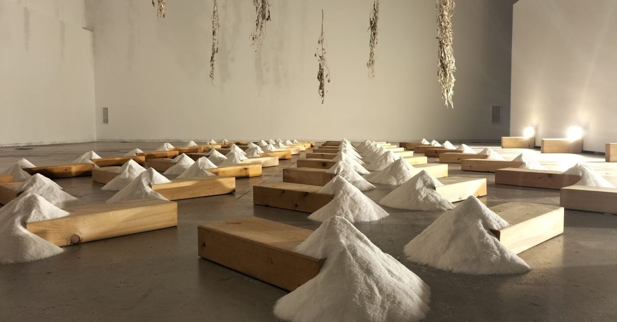 Vuit artistes nacionals i internacionals reflexionen sobre el valor cultural i ambiental de les salines al Delta | EbreActiu.cat, revista digital d’oci actiu | Terres de l’Ebre ... Vuit artistes nacionals i internacionals reflexionen sobre el valor cultural i ambiental de les salines al Delta | EbreActiu.cat, revista digital d’oci actiu | Terres de l’Ebre ...