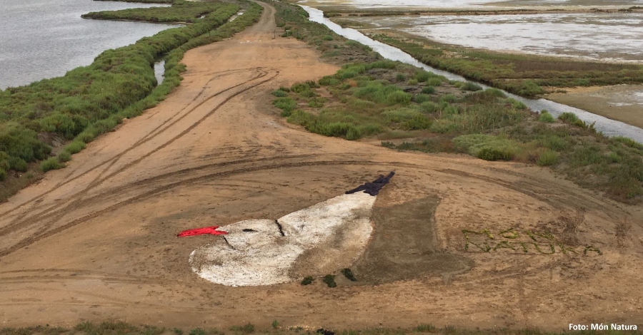 La Festa dels Menuts de M�nNatura Delta es consolida com a trobada anual per a les fam�lies | EbreActiu.cat, revista digital d&rsquo;oci actiu | Terres de l&rsquo;Ebre ...