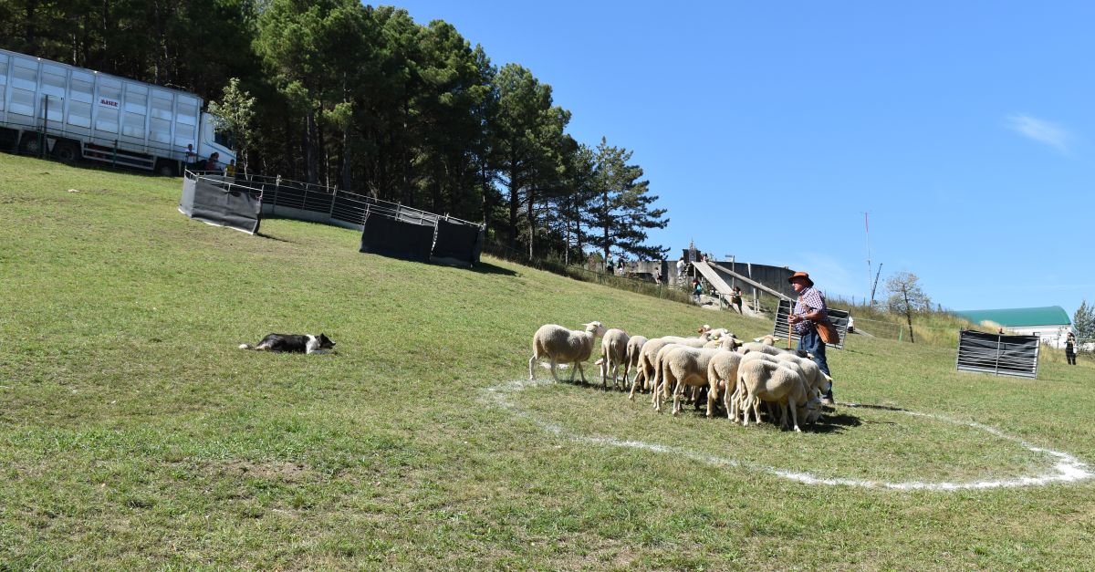 Intenso fin de semana con la Feria de Morella