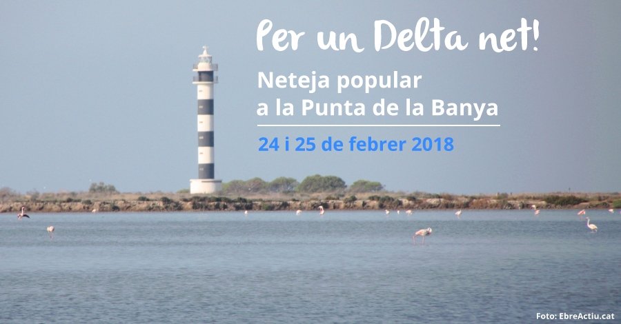 Per un Delta net: Neteja a la Punta de la Banya Per un Delta net: Neteja a la Punta de la Banya