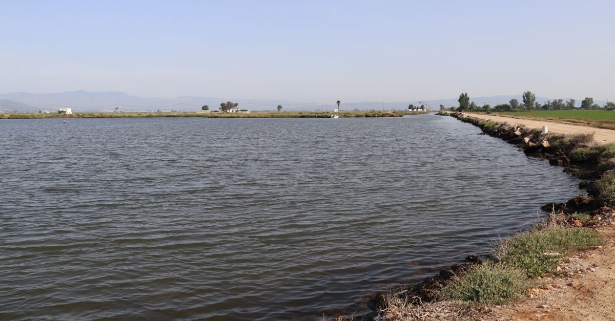 El Govern preveu acabar les obres de les guardes de les basses del Delta al mar i iniciar les de les badies al maig