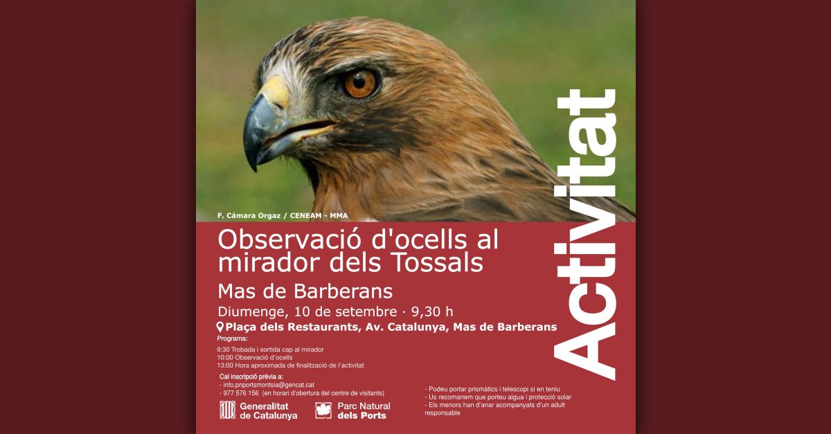 Observaci�n de aves en el mirador dels Tossals