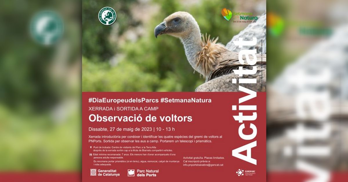 Observaci� de voltors