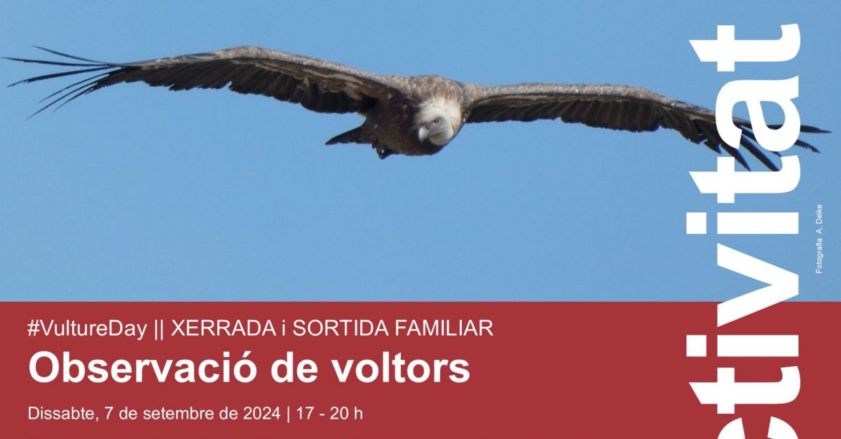 Observaci�n de buitres. Charla y salida familiar