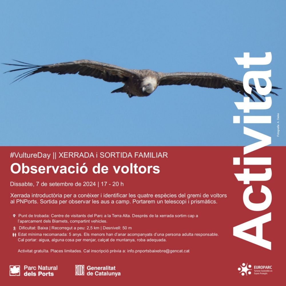 Observació de voltors. Xerrada i sortida familiar Observació de voltors. Xerrada i sortida familiar