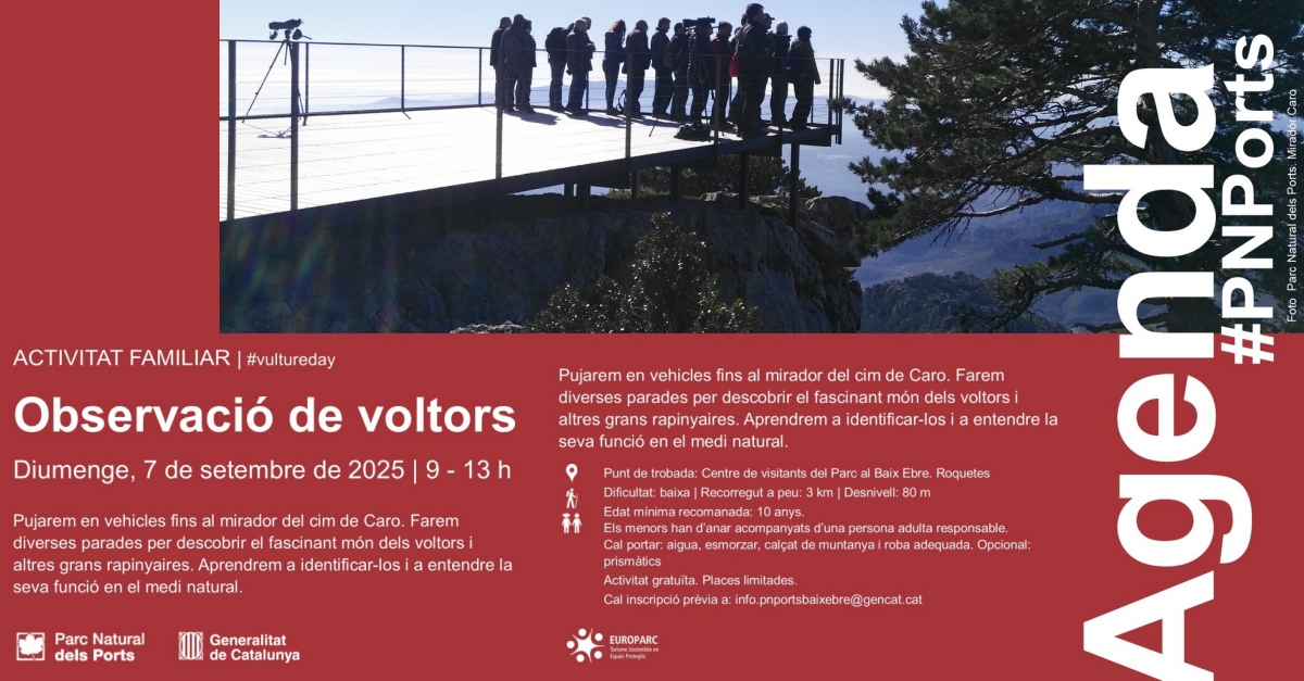 Ovservació de voltors Ovservació de voltors