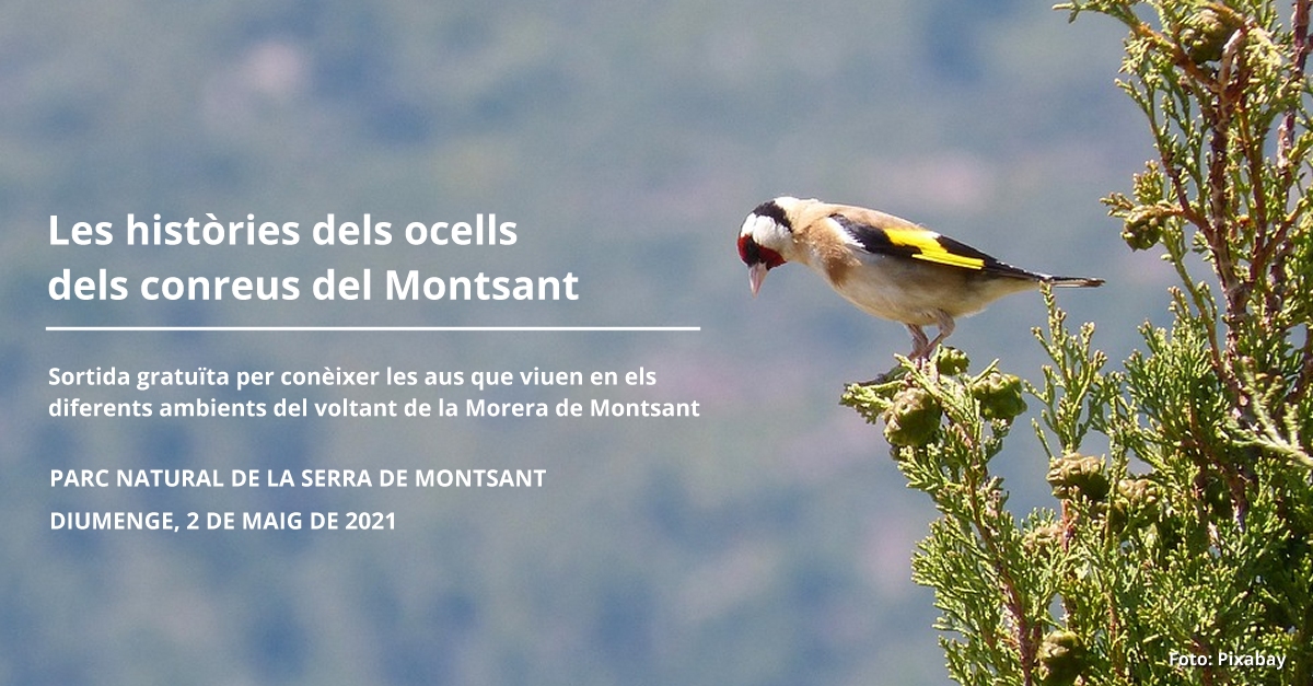 Les hist�ries dels ocells dels conreus del Montsant