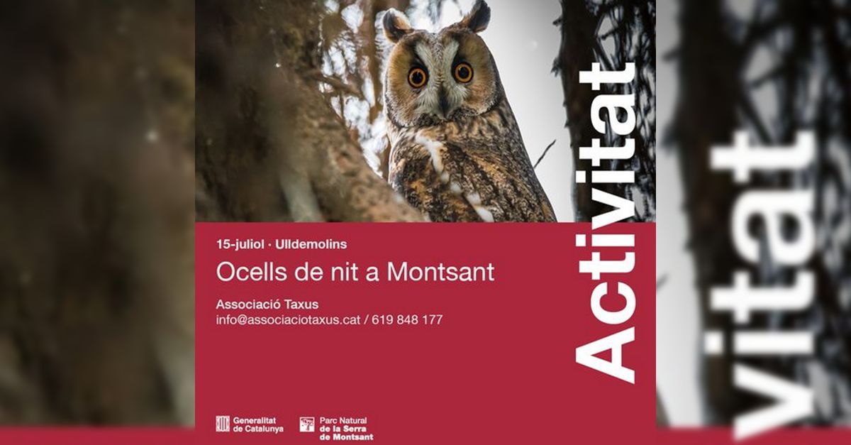 P�jaros de noche en Montsant