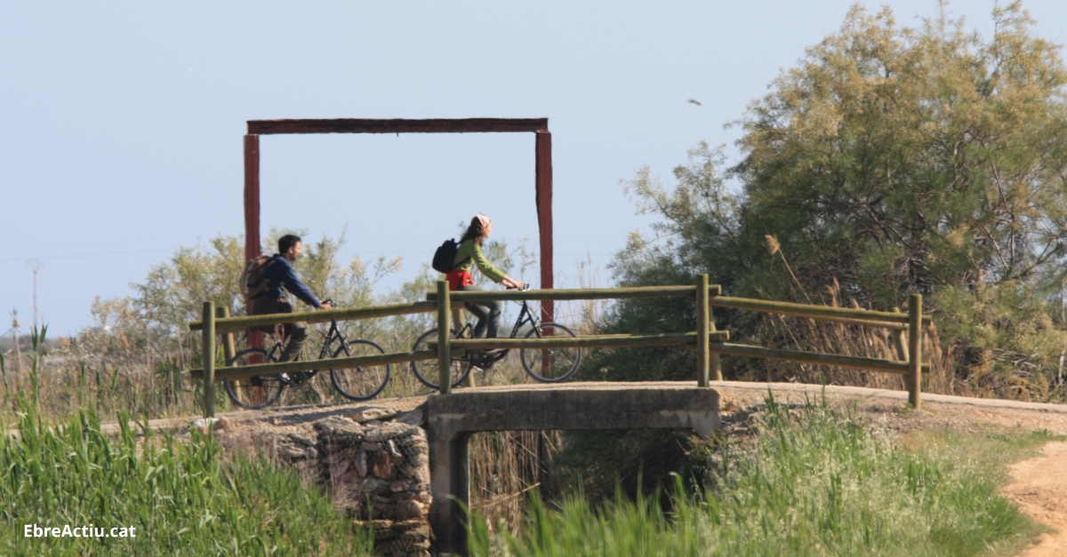 L’Oficina de Turisme d’Amposta atn a ms de 250 persones durant aquesta Setmana Santa | EbreActiu.cat, revista digital d’oci actiu | Terres de l’Ebre ...