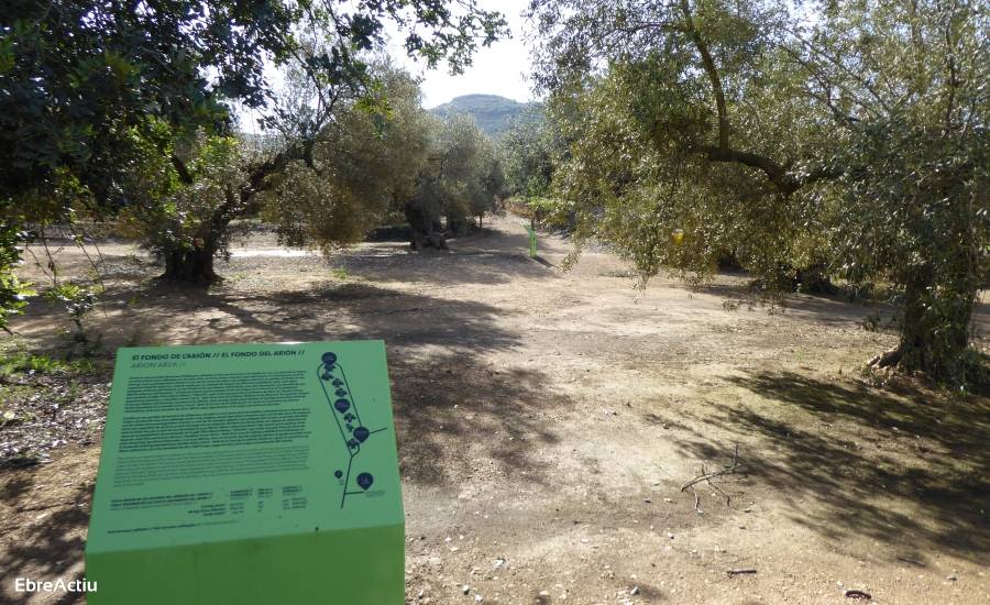 Oficina de Turisme d&rsquo;Ulldecona | EbreActiu.cat, revista digital d&rsquo;oci actiu | Terres de l&rsquo;Ebre ...