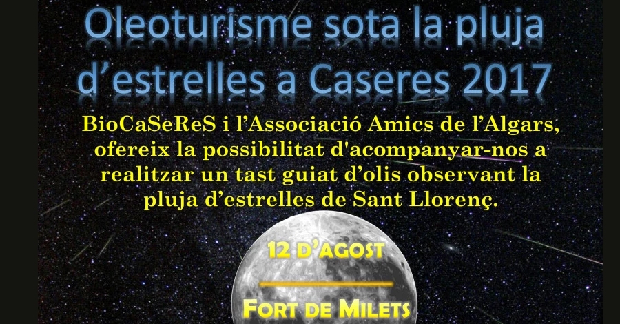 Oleoturismo bajo la lluvia de estrellas a Caseres 2017