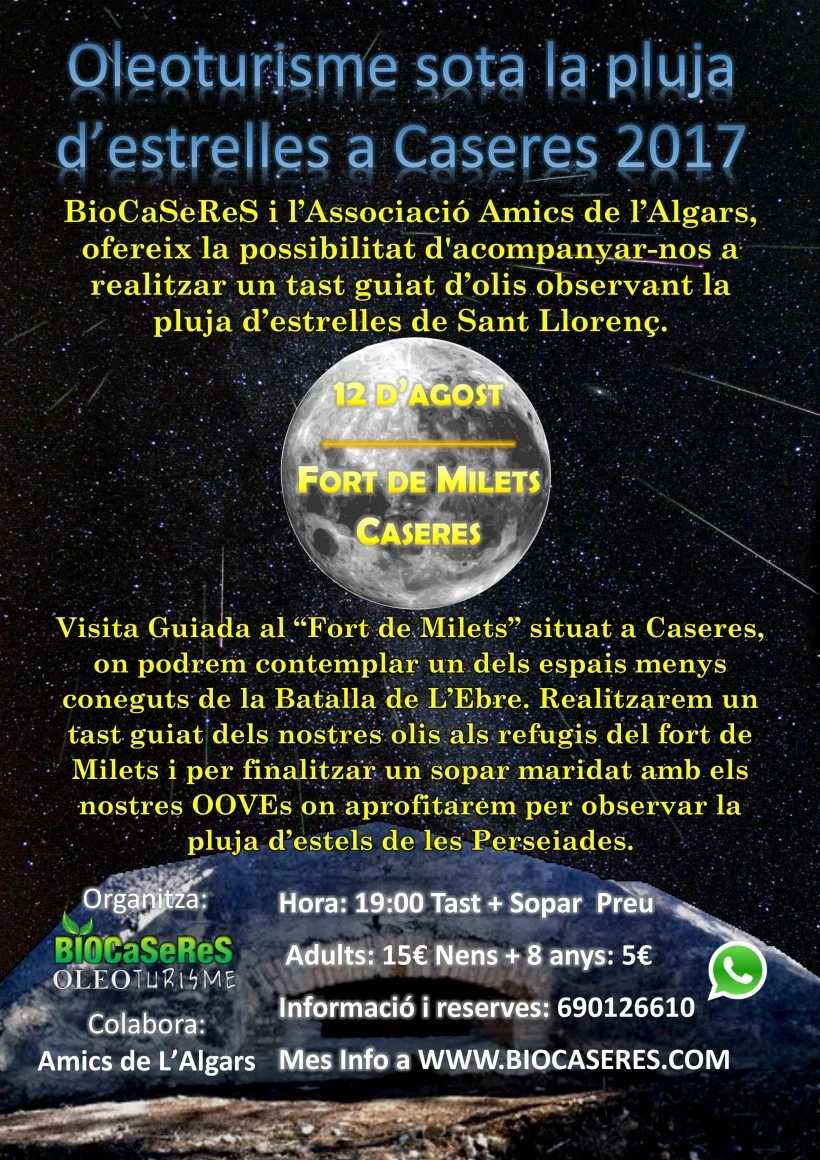 Oleoturisme sota la pluja d�estrelles a Caseres 2017