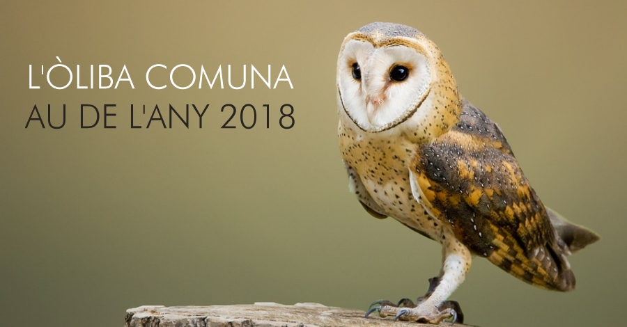 Natura | Lliba comuna s el Au de lAny 2018