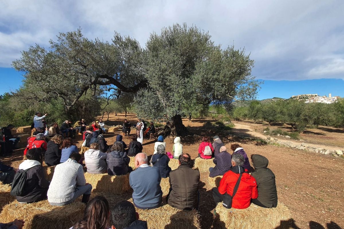 Una olivera de Cervera del Maestre distingida amb el Premi a la Millor Olivera Monumental d’Espanya 2024 | EbreActiu.cat, revista digital d’oci actiu | Terres de l’Ebre ... Una olivera de Cervera del Maestre distingida amb el Premi a la Millor Olivera Monumental d’Espanya 2024 | EbreActiu.cat, revista digital d’oci actiu | Terres de l’Ebre ...