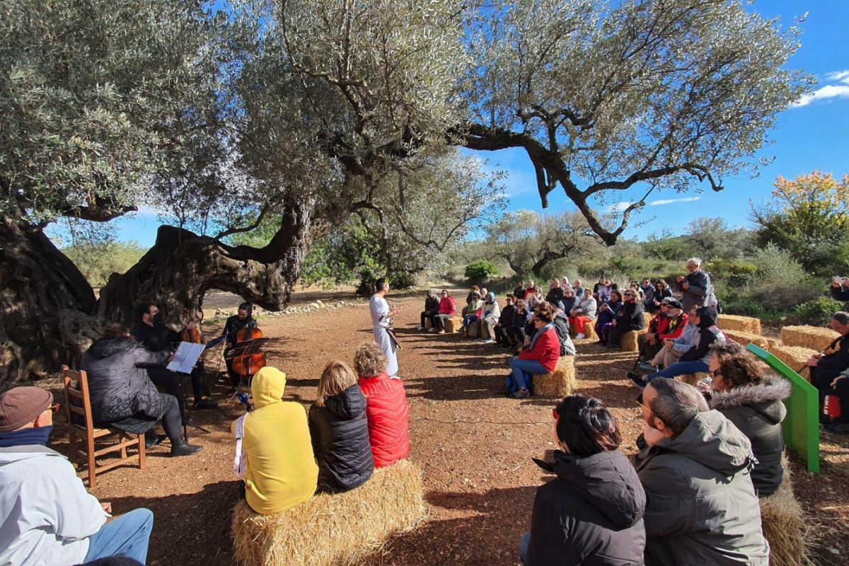 Una olivera de Cervera del Maestre distingida amb el Premi a la Millor Olivera Monumental d’Espanya 2024 | EbreActiu.cat, revista digital d’oci actiu | Terres de l’Ebre ... Una olivera de Cervera del Maestre distingida amb el Premi a la Millor Olivera Monumental d’Espanya 2024 | EbreActiu.cat, revista digital d’oci actiu | Terres de l’Ebre ...